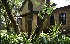Molly'S Cottage