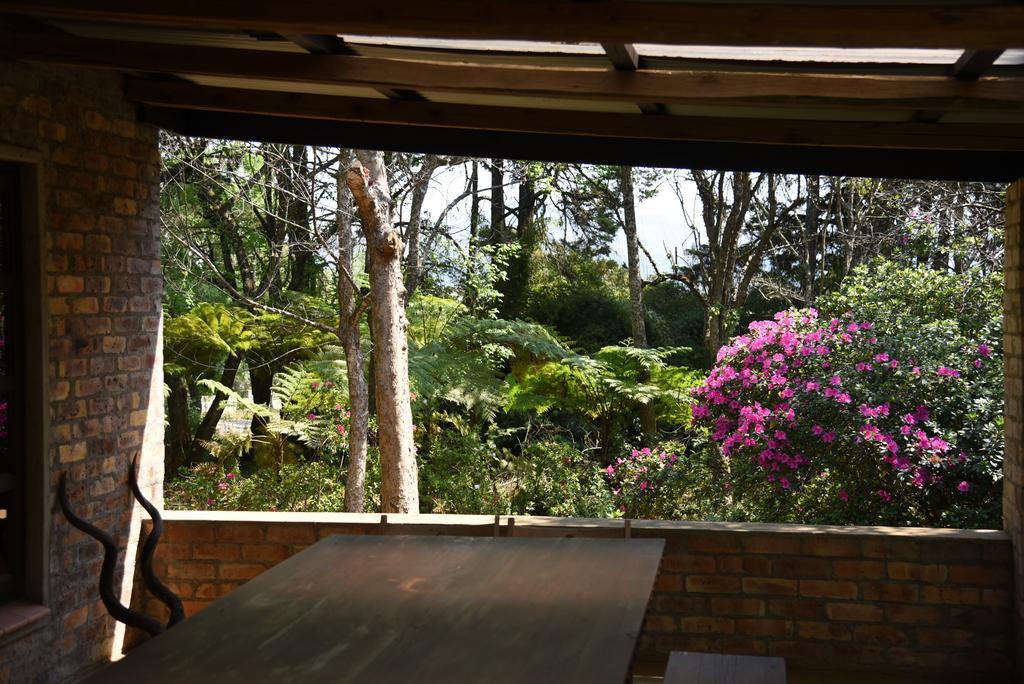 גרסקופ Molly'S Cottage מראה חיצוני תמונה