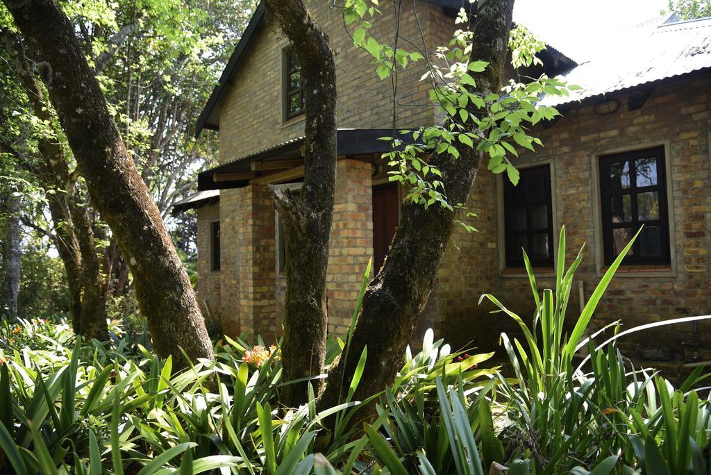 גרסקופ Molly'S Cottage מראה חיצוני תמונה